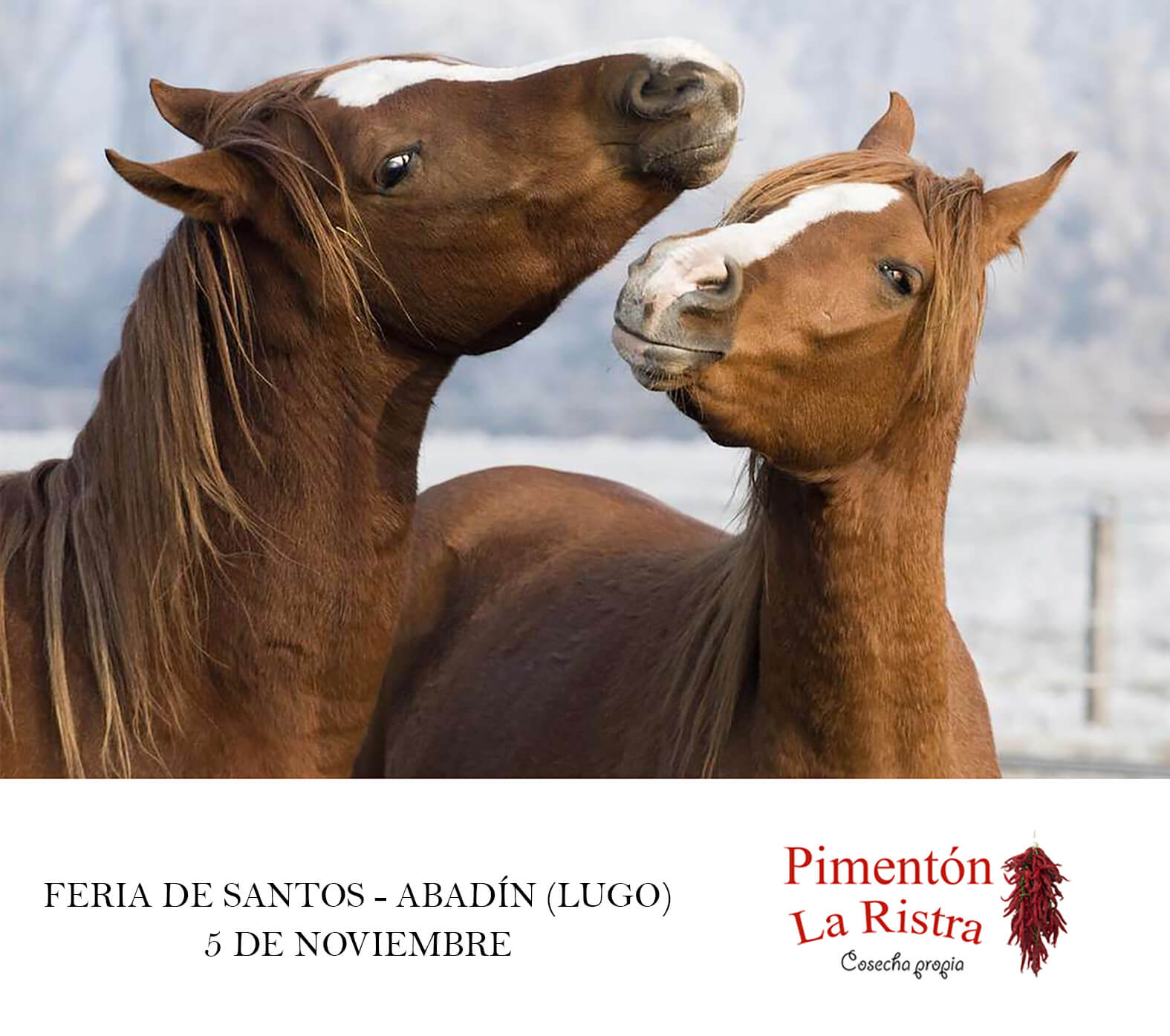 Abadín (Lugo) – 5 de noviembre