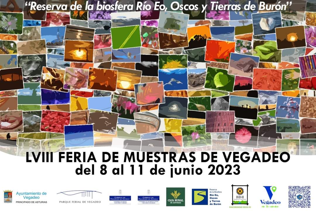 Vegadeo (Asturias) – Del 8 al 11 de junio